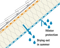 section summer winter