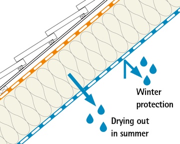section summer winter